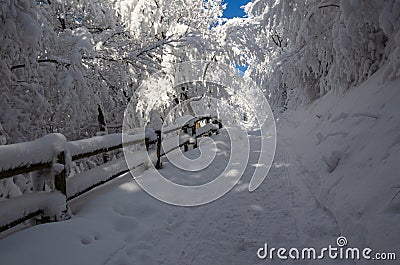 Bieszczady National Park in winter. Approach trail from PrzeÅ‚Ä™cz WyÅ¼niej Stock Photo